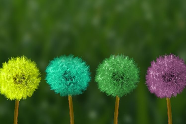 avoir conscience du moment présent pour une vie plus douce